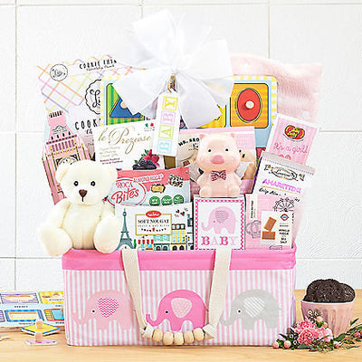 Bundle of Joy: Baby Girl Gift Basket