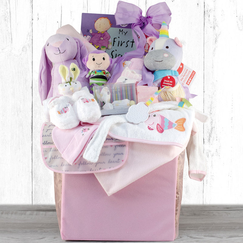  A Special Delivery New Baby Girl Gift Basket, New Baby Gift  for Girl, Baby Girl Gift. : Baby