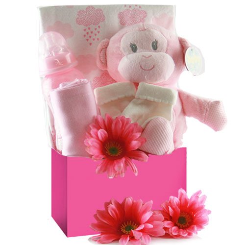 Special Delivery: Baby Gift Basket - Choose Boy, Girl or Neutral