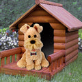 Smiley The Wire Haired Terrier - Sings 
